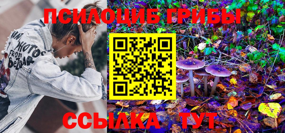 Галлюциногенные грибы мухоморы Новочебоксарск