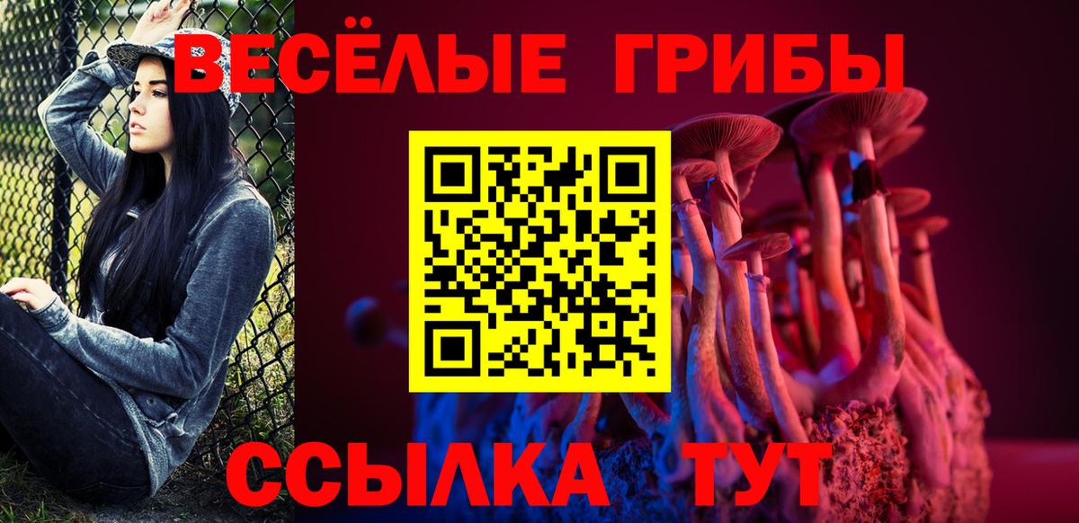 Новочебоксарск  где можно купить наркотик  Вход с VPN  Галлюциногенные грибы прущие грибы 